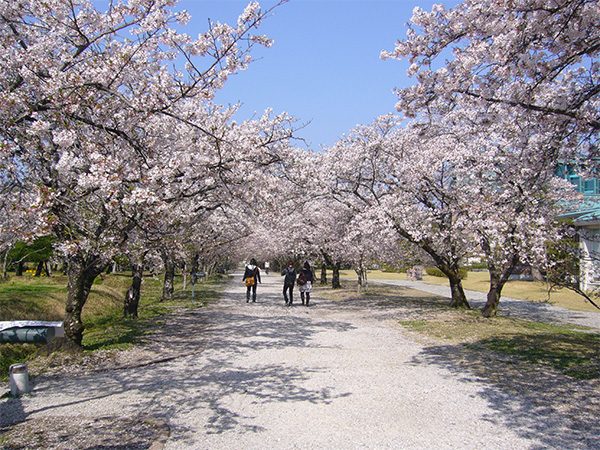 Kagamino Park, Kochi University of Technology
