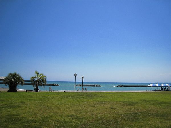 https://yumeno.jp/wp/wp-content/uploads/2016/10/yashii-600x450.jpg